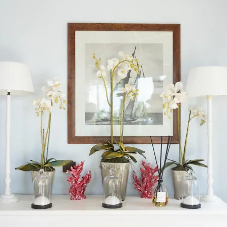 Santa Maria Hotel Saint-Florent (Corsica)