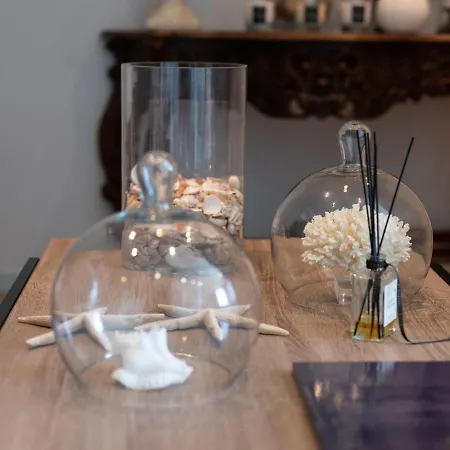 Santa Maria סן פלורן