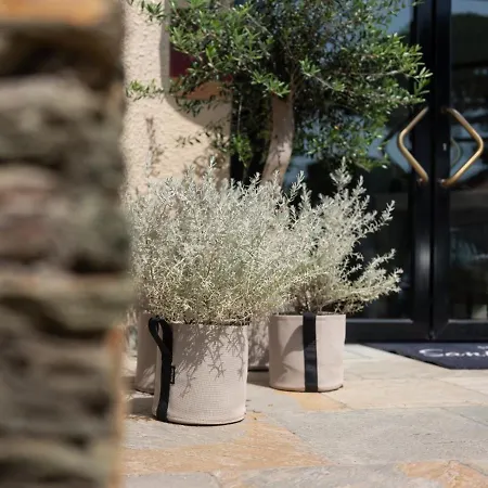 Santa Maria Saint-Florent (Corsica)